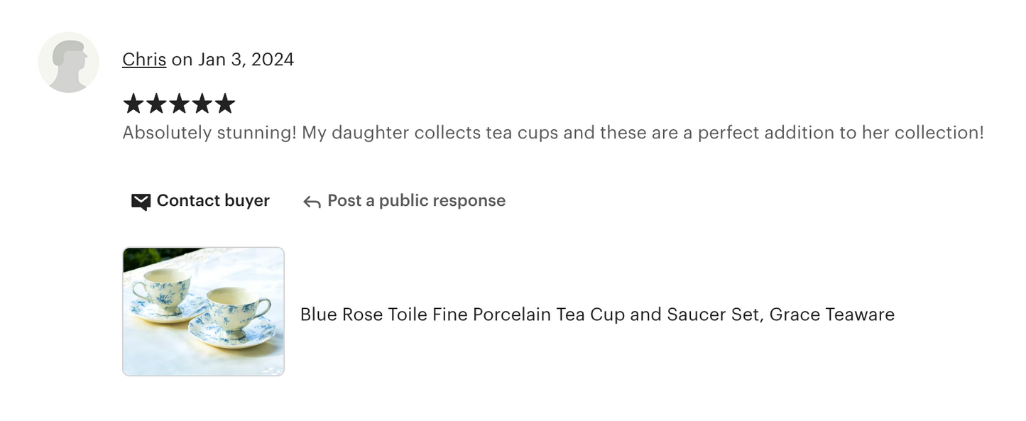 Blue Rose Toile Fine Porcelain Tea Cup and Saucer
