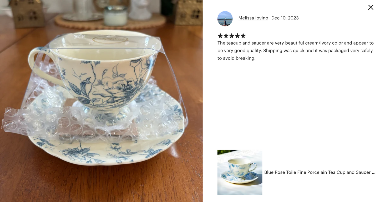 Blue Rose Toile Fine Porcelain Tea Cup and Saucer