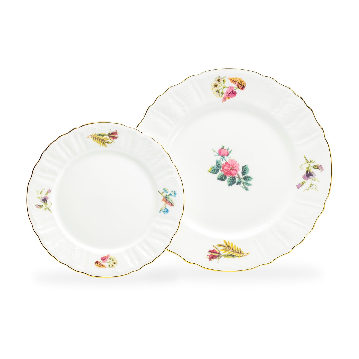 Anna Garden Bone China Cup and Saucer