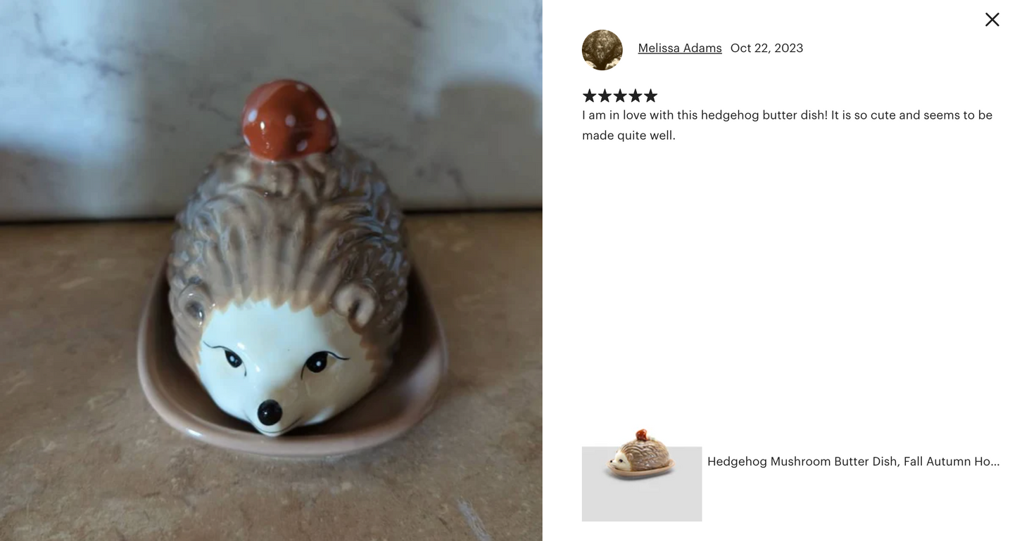 Brown Hedgehog Butter Dish - CLEARANCE