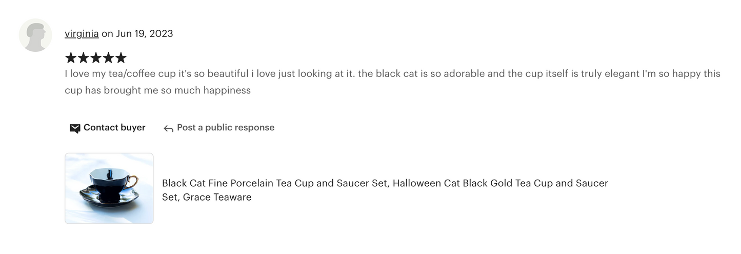 Black Cat Black Gold Tea Cup and Saucer