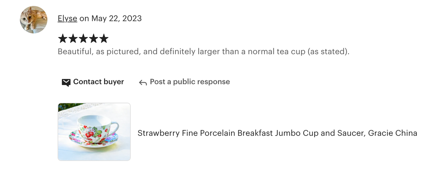 Strawberry Fine Porcelain Breakfast Jumbo Cup and Saucer