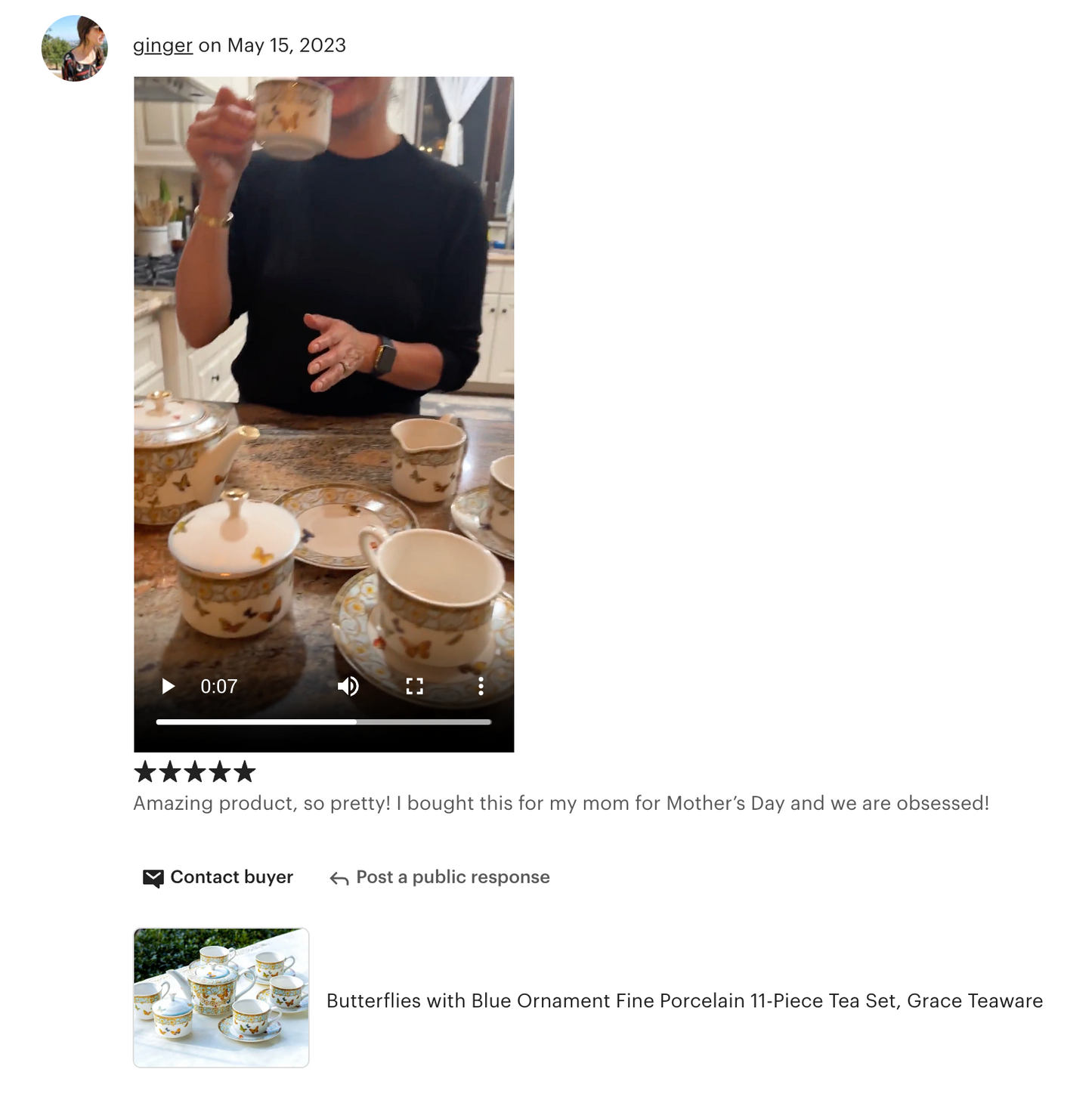 Butterflies with Blue Ornament Fine Porcelain Tea Set