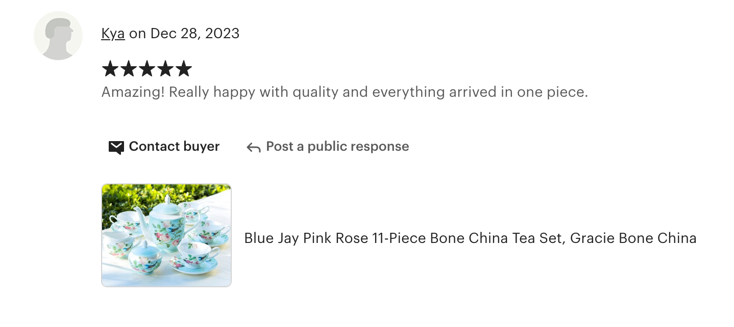 Blue Jay Bone China Tea Set