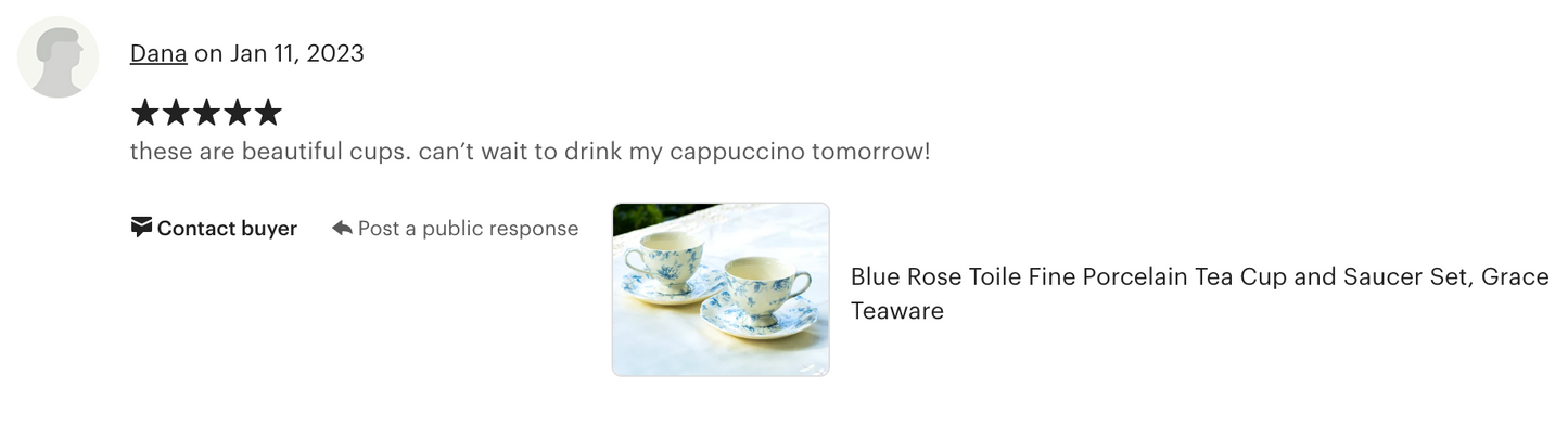 Blue Rose Toile Fine Porcelain Tea Cup and Saucer