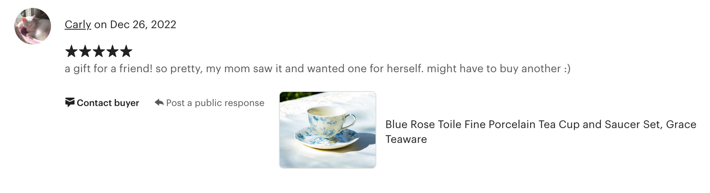 Blue Rose Toile Fine Porcelain Tea Cup and Saucer