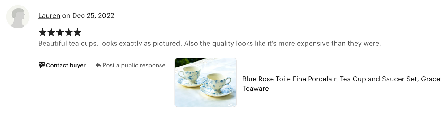 Blue Rose Toile Fine Porcelain Tea Cup and Saucer