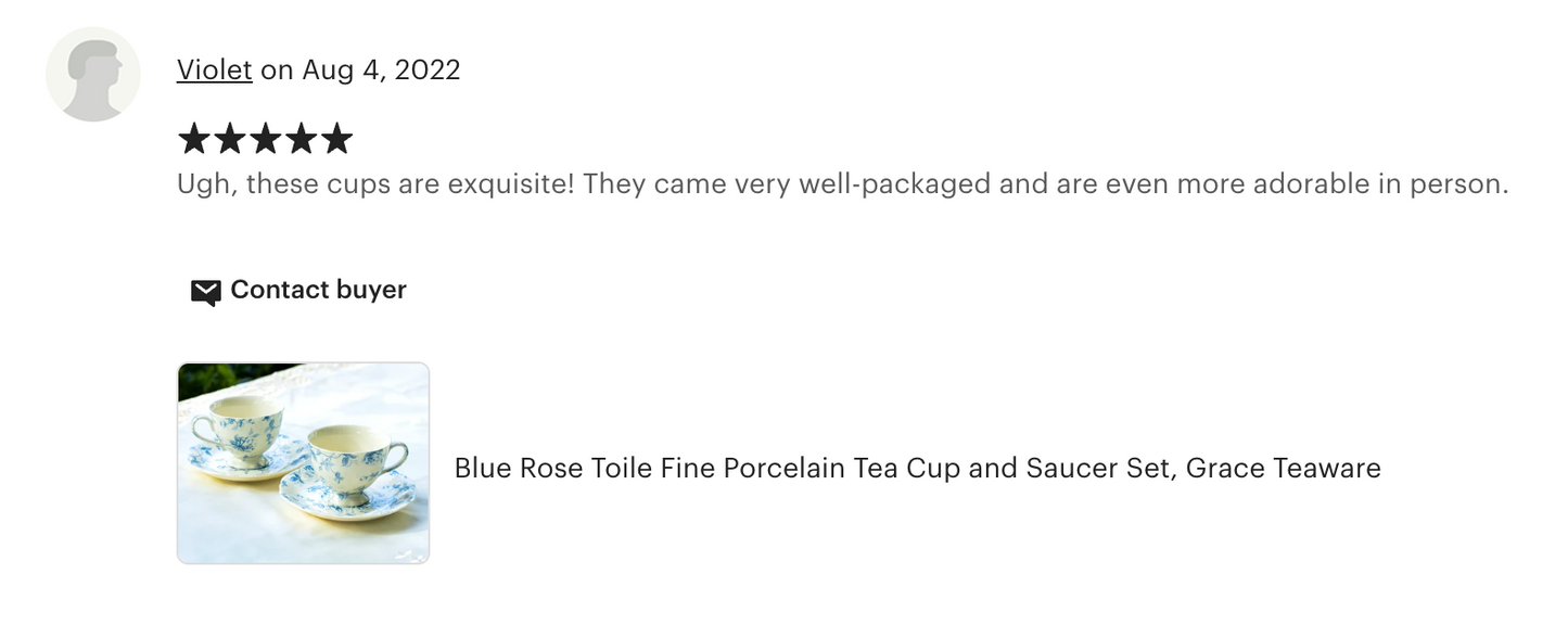 Blue Rose Toile Fine Porcelain Tea Cup and Saucer