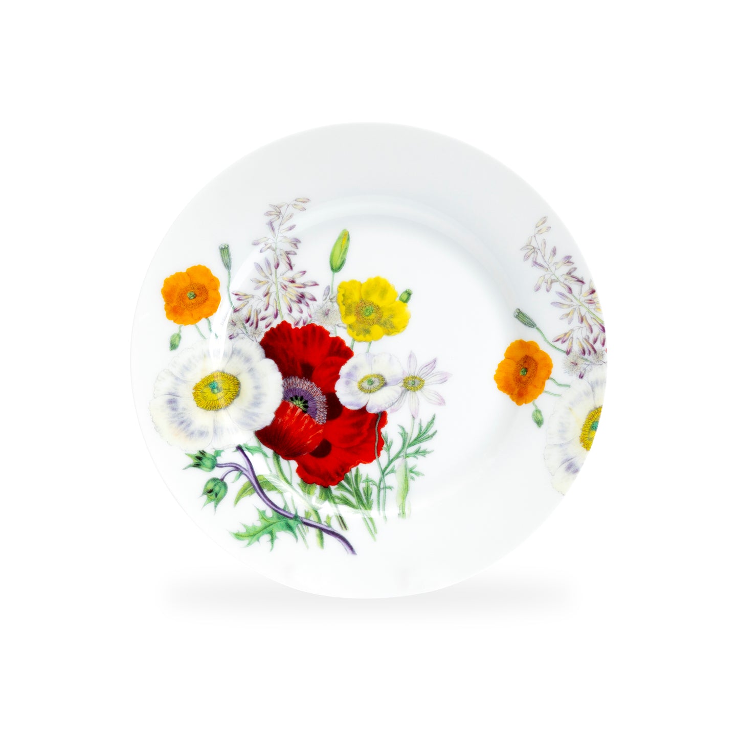 Stechcol Gracie Bone China 7.5" Poppy Field Bone China Dessert Plate