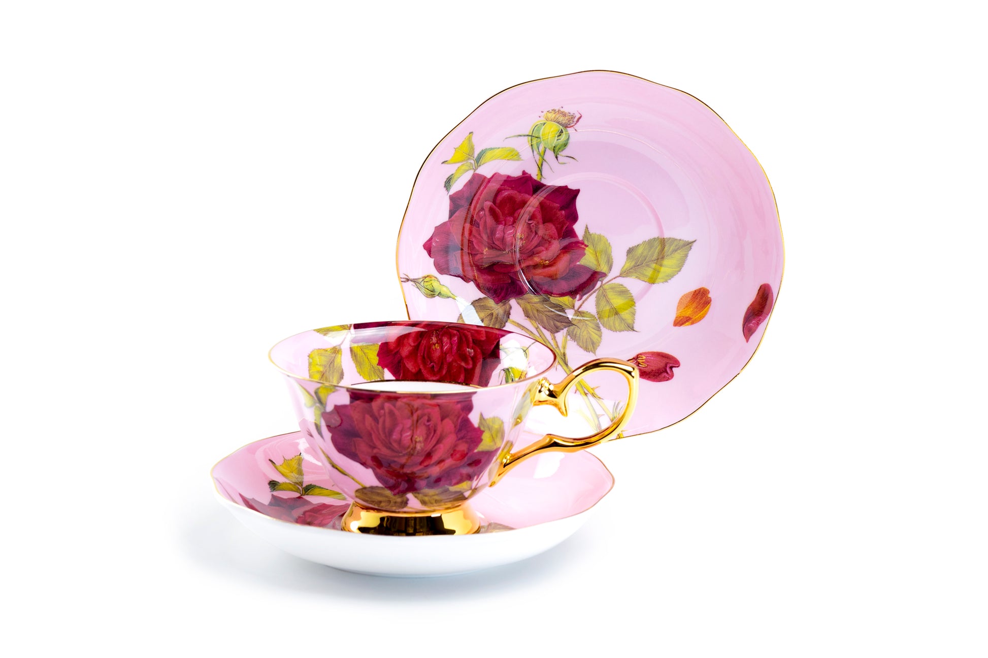 Stechcol Gracie Bone China Gold Pink Stem Rose Bone China Tea Cup and Saucer Set