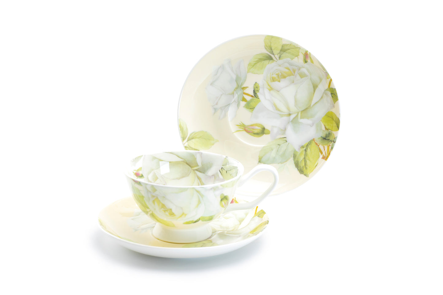 Stechcol Gracie Bone China Iceberg Rose Bone China Tea Cup and Saucer Set