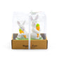 Gift Boxed Bunny Carrot Figurine Ceramic Salt and Pepper Shaker Set