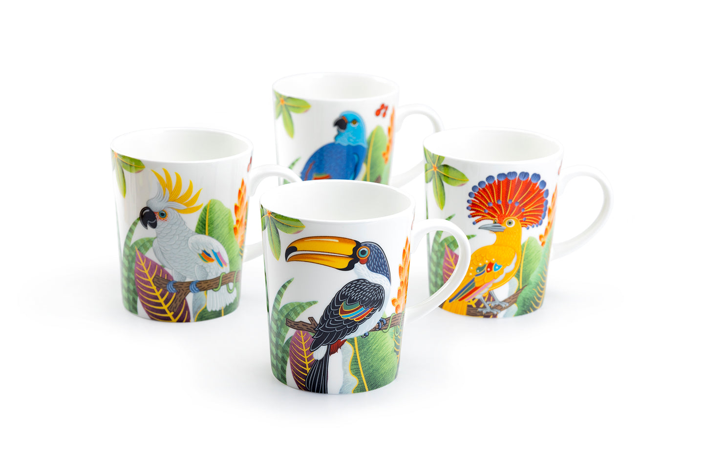 Stechcol Gracie Bone China Tropical Birds Assorted Bone China Mug Set of 4
