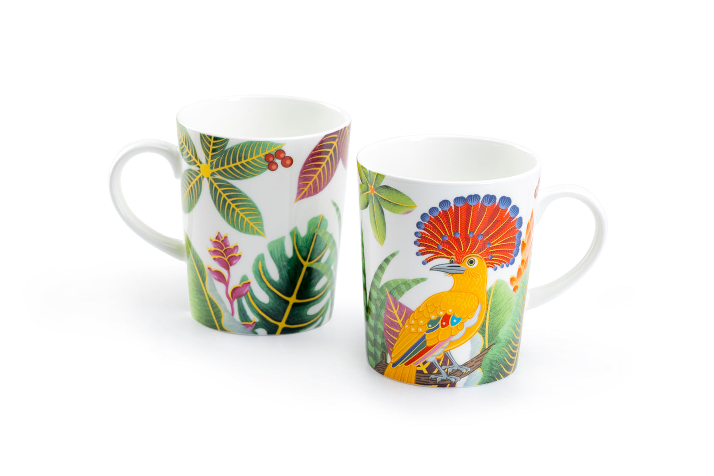 Stechcol Gracie Bone China Tropical Parrot Mug