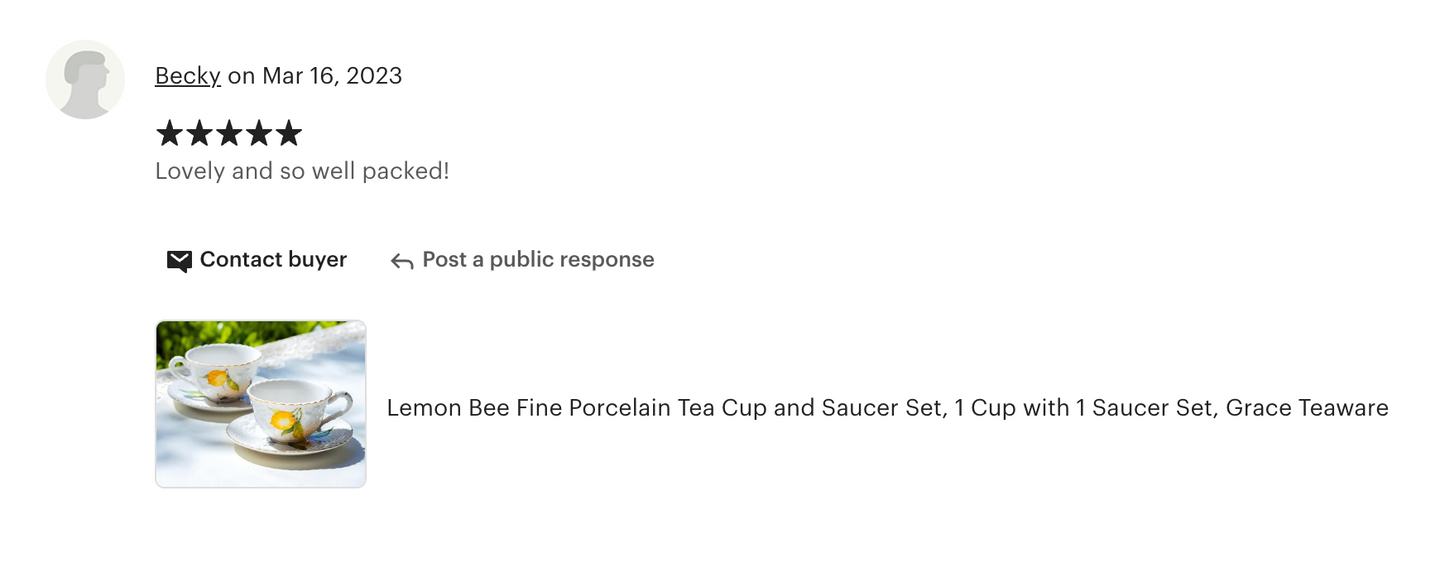 Lemon Bee Fine Porcelain Cup and Saucer