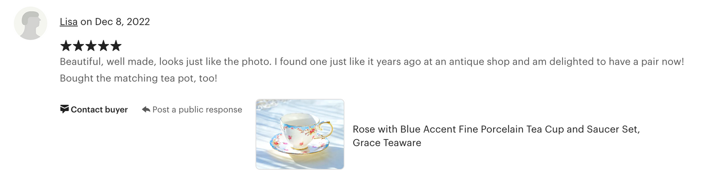 Rose with Blue Accent Fine Porcelain Tea Cup and Saucer