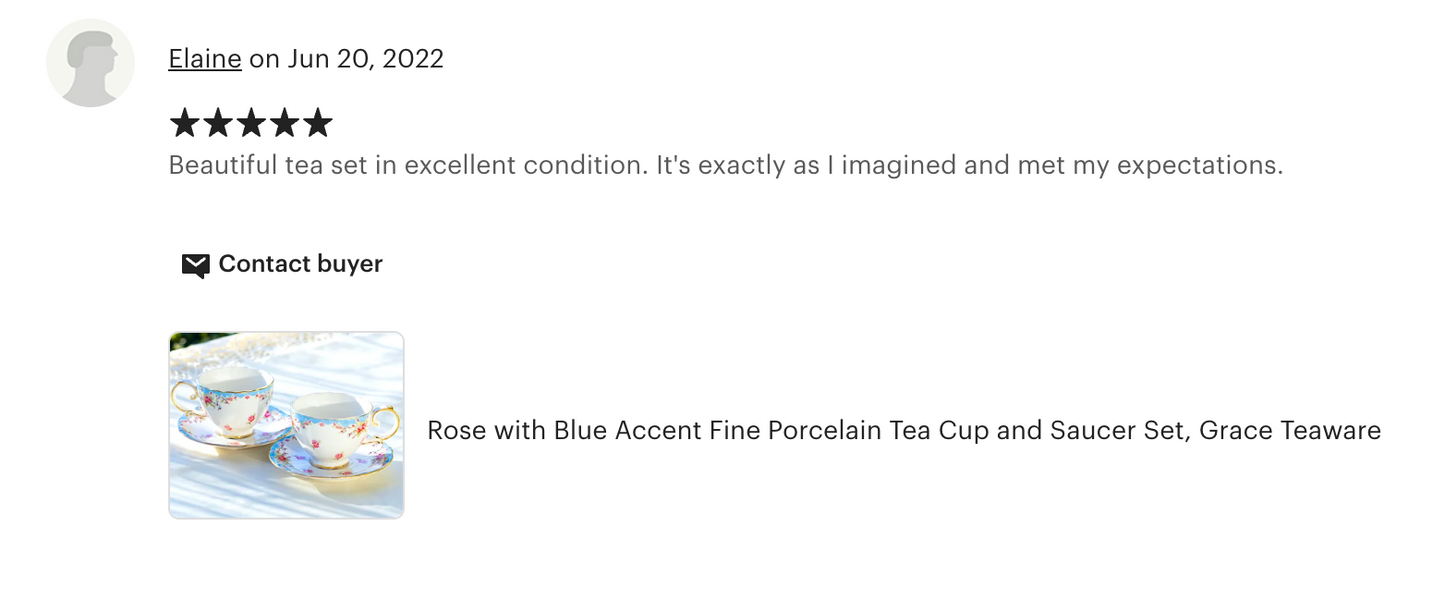 Rose with Blue Accent Fine Porcelain Tea Cup and Saucer