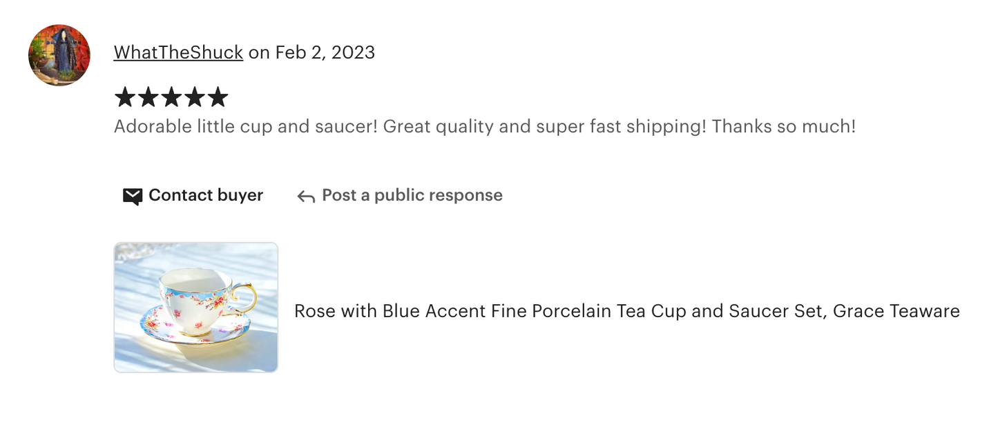 Rose with Blue Accent Fine Porcelain Tea Cup and Saucer