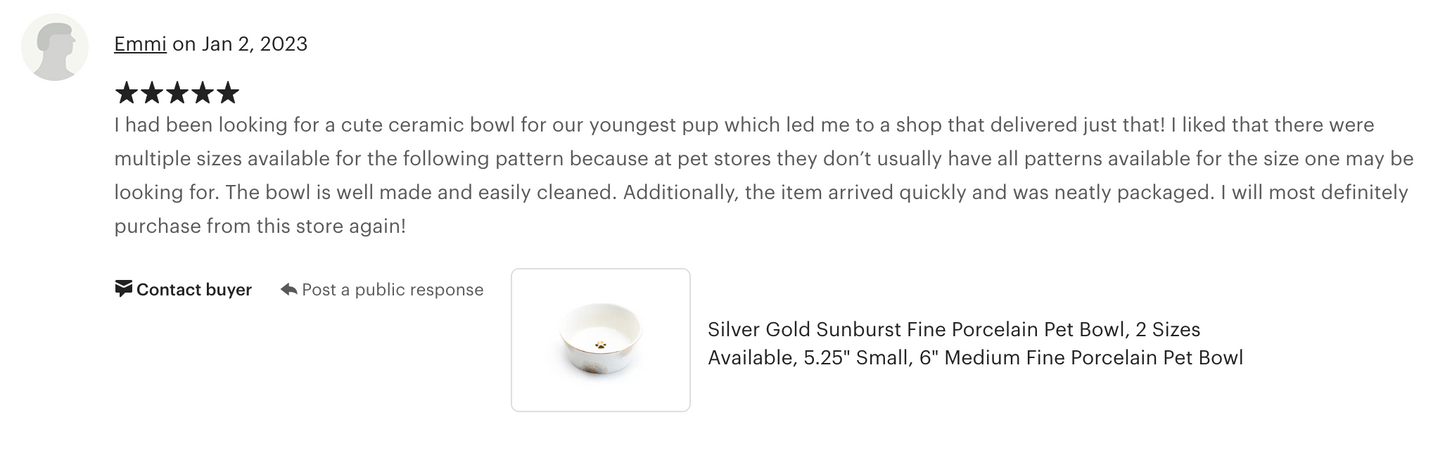 Silver Gold Sunburst Fine Porcelain Pet Bowl - 2 Sizes Available