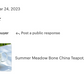 Summer Meadow Bone China Teapot