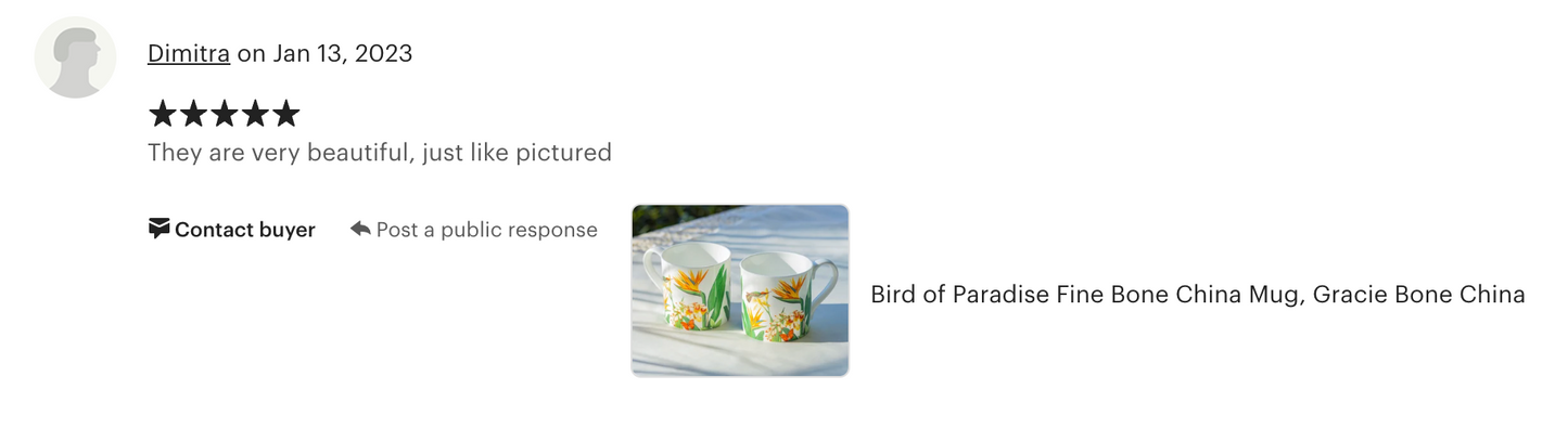 Bird of Paradise Bone China Mug
