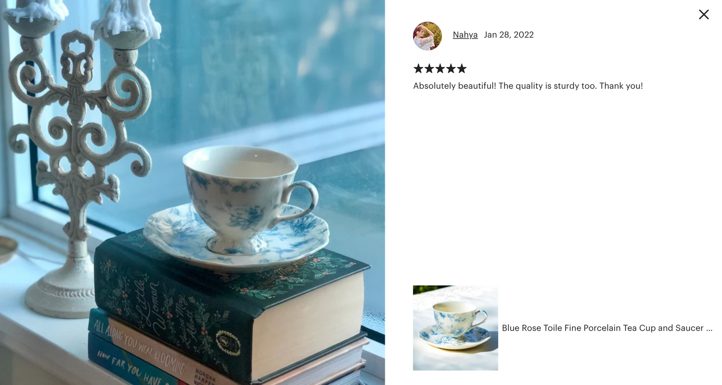 Blue Rose Toile Fine Porcelain Tea Cup and Saucer