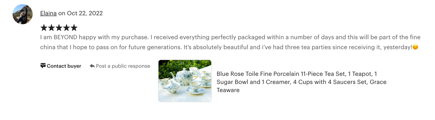 Blue Rose Toile Fine Porcelain Tea Set