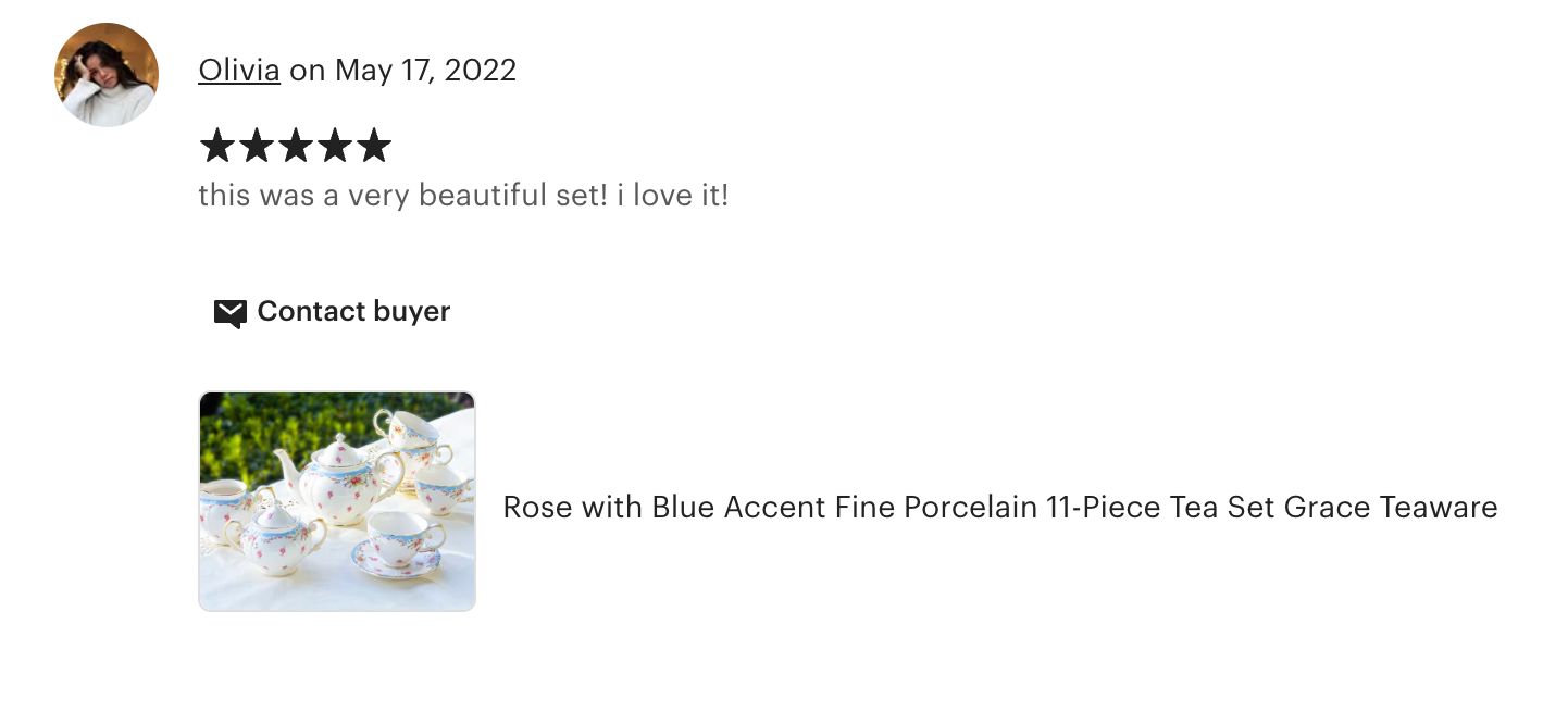 Rose with Blue Accent Fine Porcelain 11-Piece Tea Set