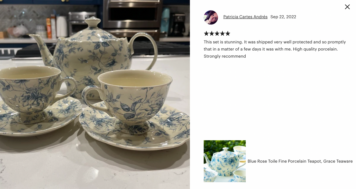 Blue Rose Toile Fine Porcelain Tea Set