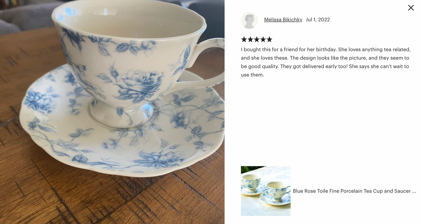 Blue Rose Toile Fine Porcelain Tea Cup and Saucer