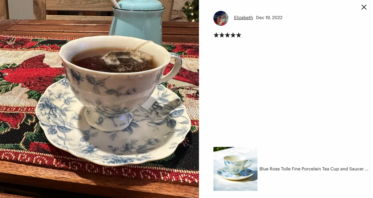 Blue Rose Toile Fine Porcelain Tea Cup and Saucer