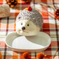 Hedgehog with Mushroom Butter Dish