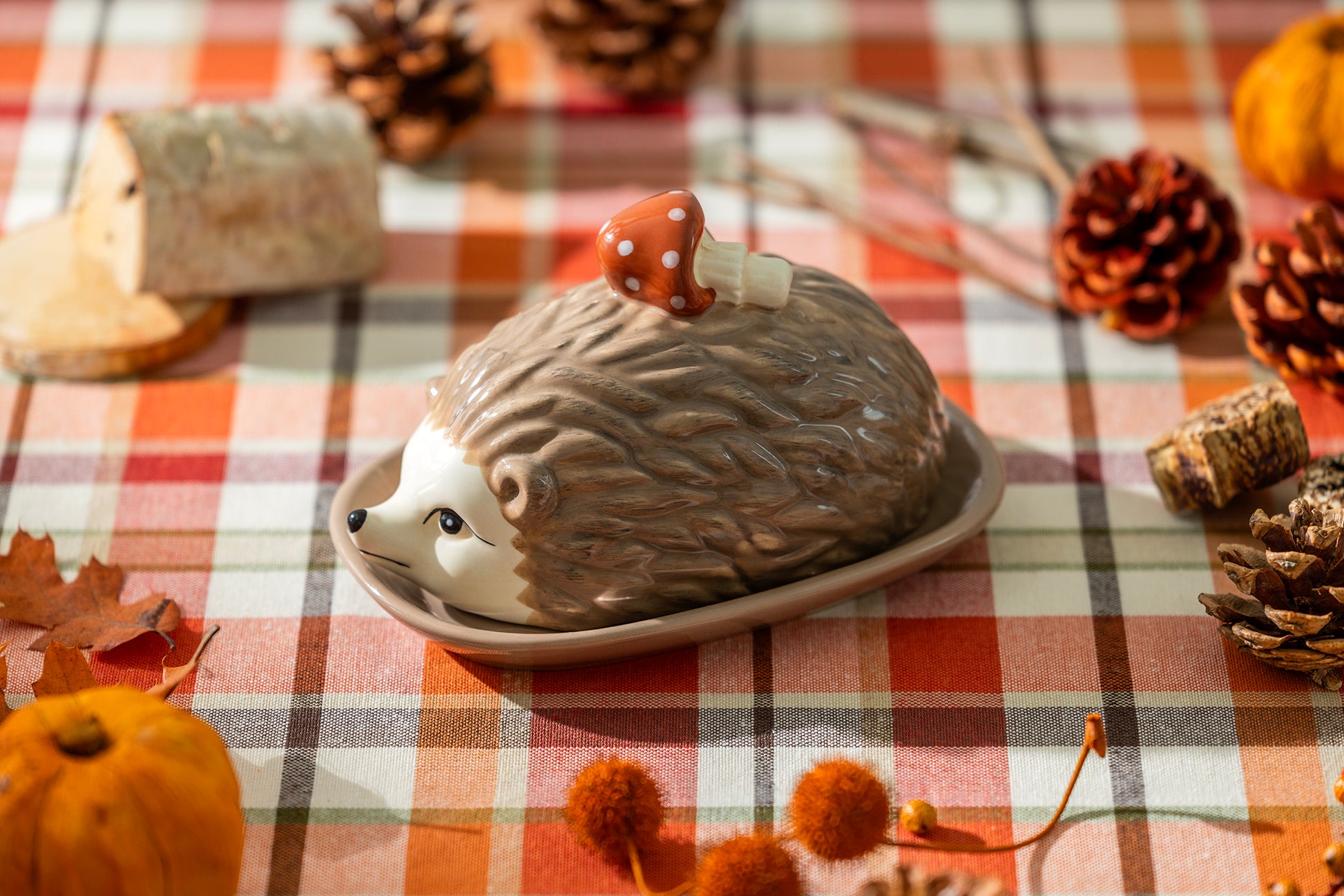 Potter's Studio Cute Hedgehog Butter Dish