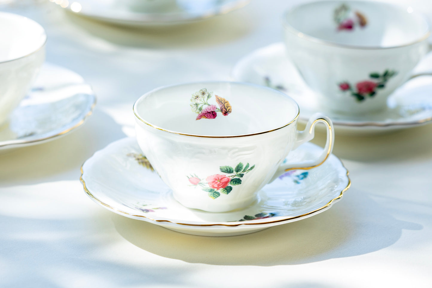 Anna Garden Bone China Cup and Saucer set