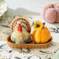 Gift Boxed Turkey and Pumpkin Salt and Pepper Shaker Set