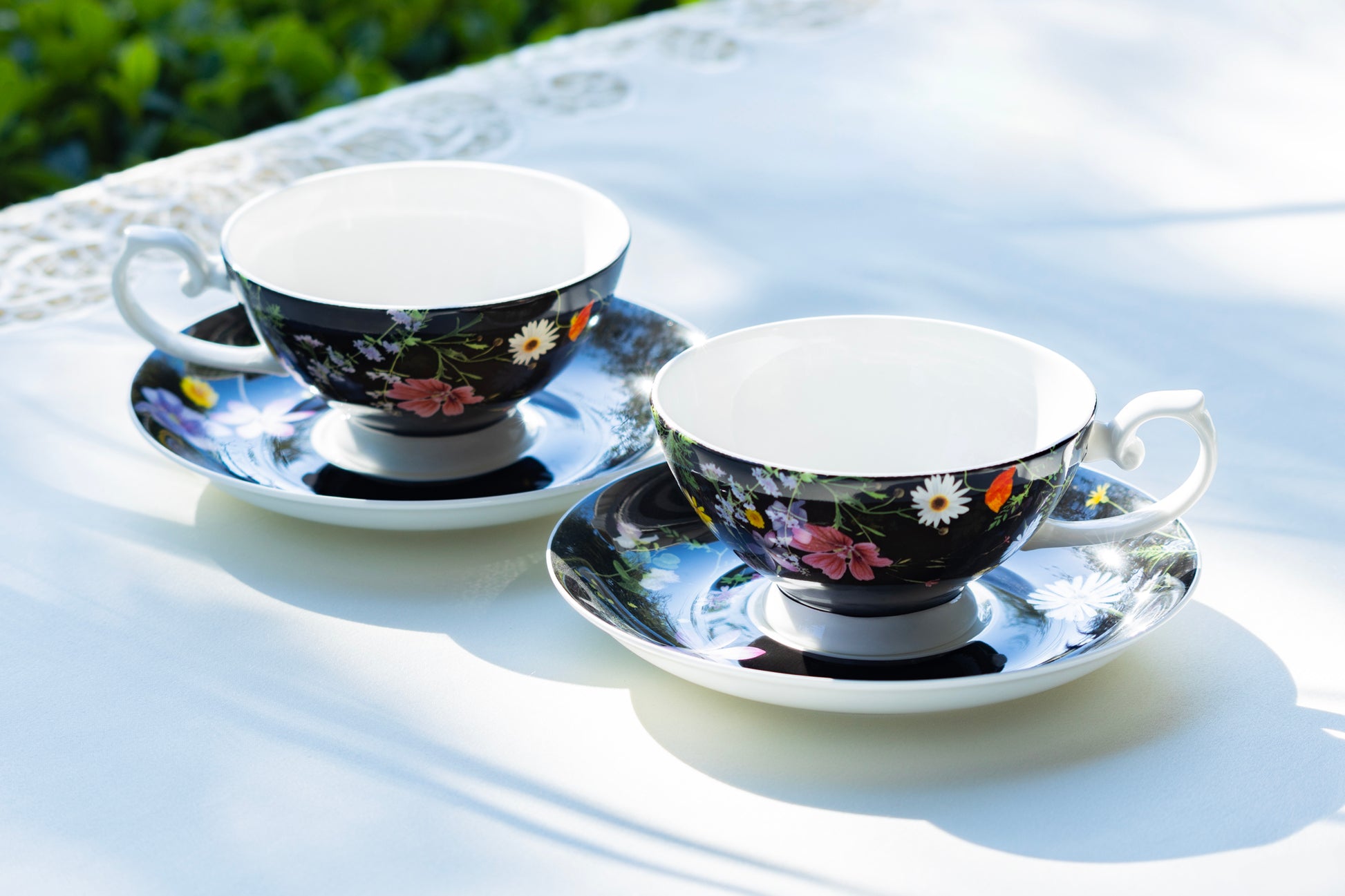 Stechcol Gracie Bone China Summer Meadow Black Bone China Cup and Saucer set of 2