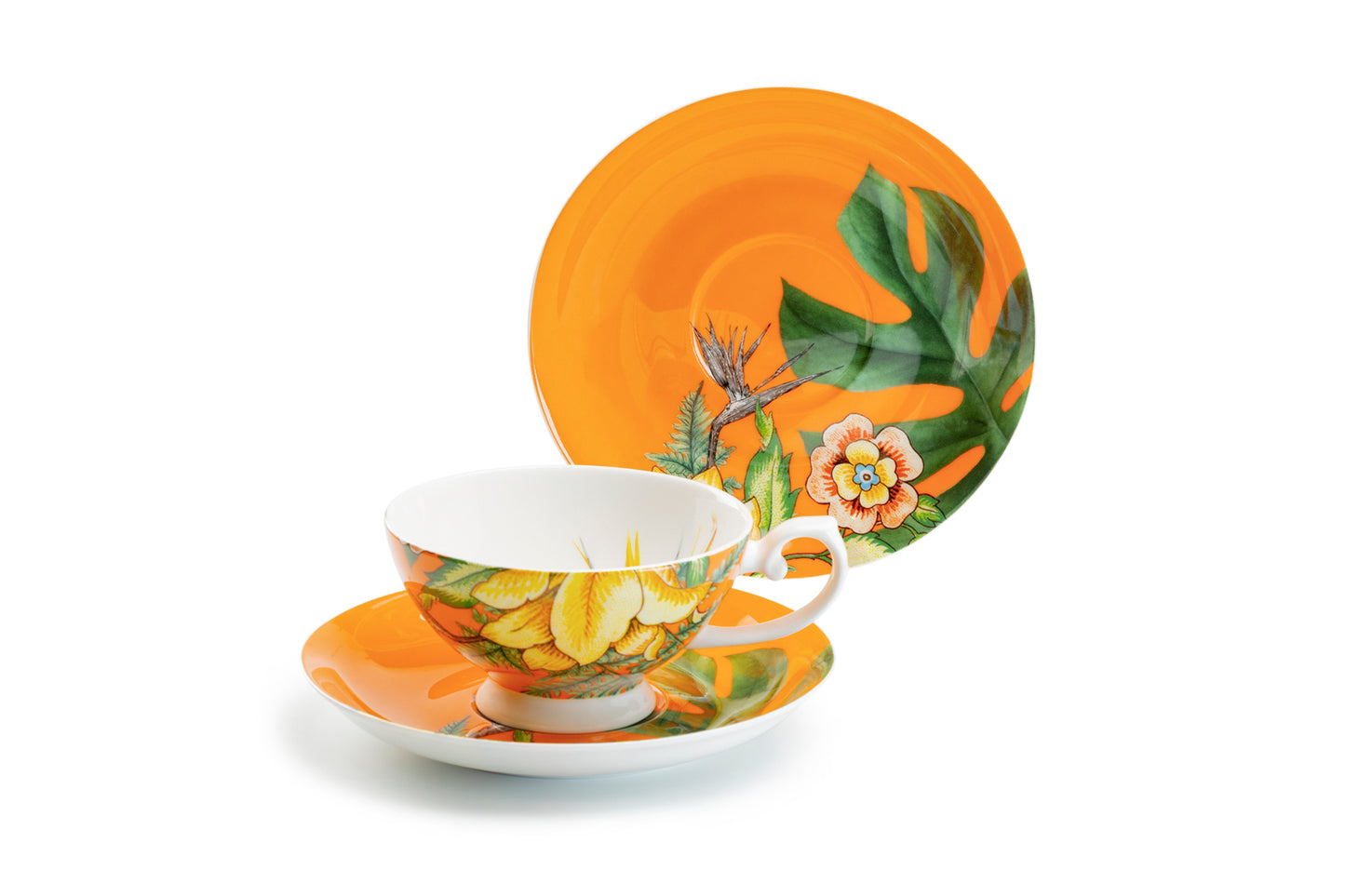 Stechcol Gracie Bone China Bird of Paradise Bone China Tea Cup and Saucer Set