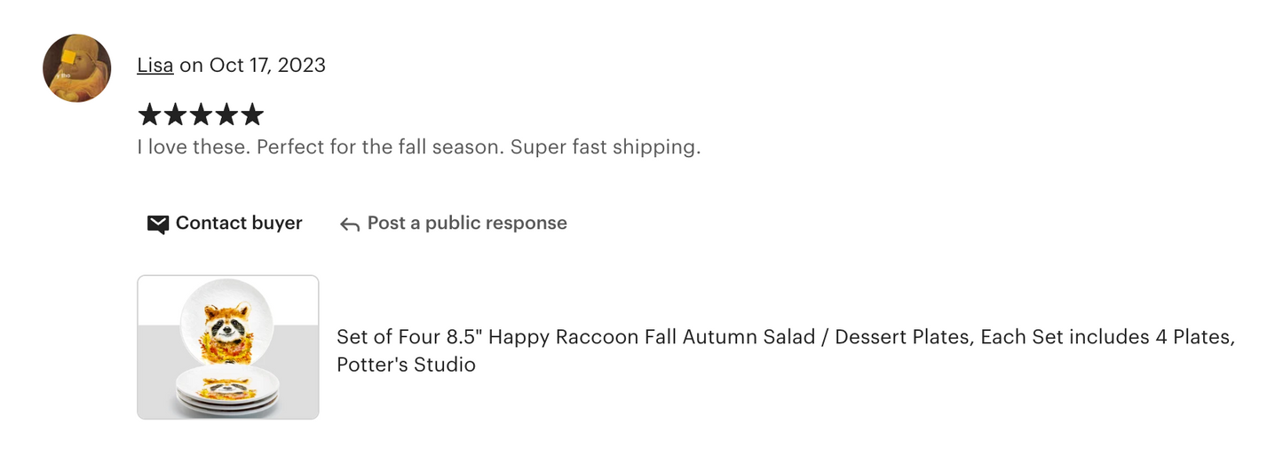 8.5" Happy Raccoon Salad / Dessert Plate