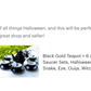 Black Gold Scallop Teapot + 6 Assorted Halloween Tea Cup and Saucer Sets - Ver. A