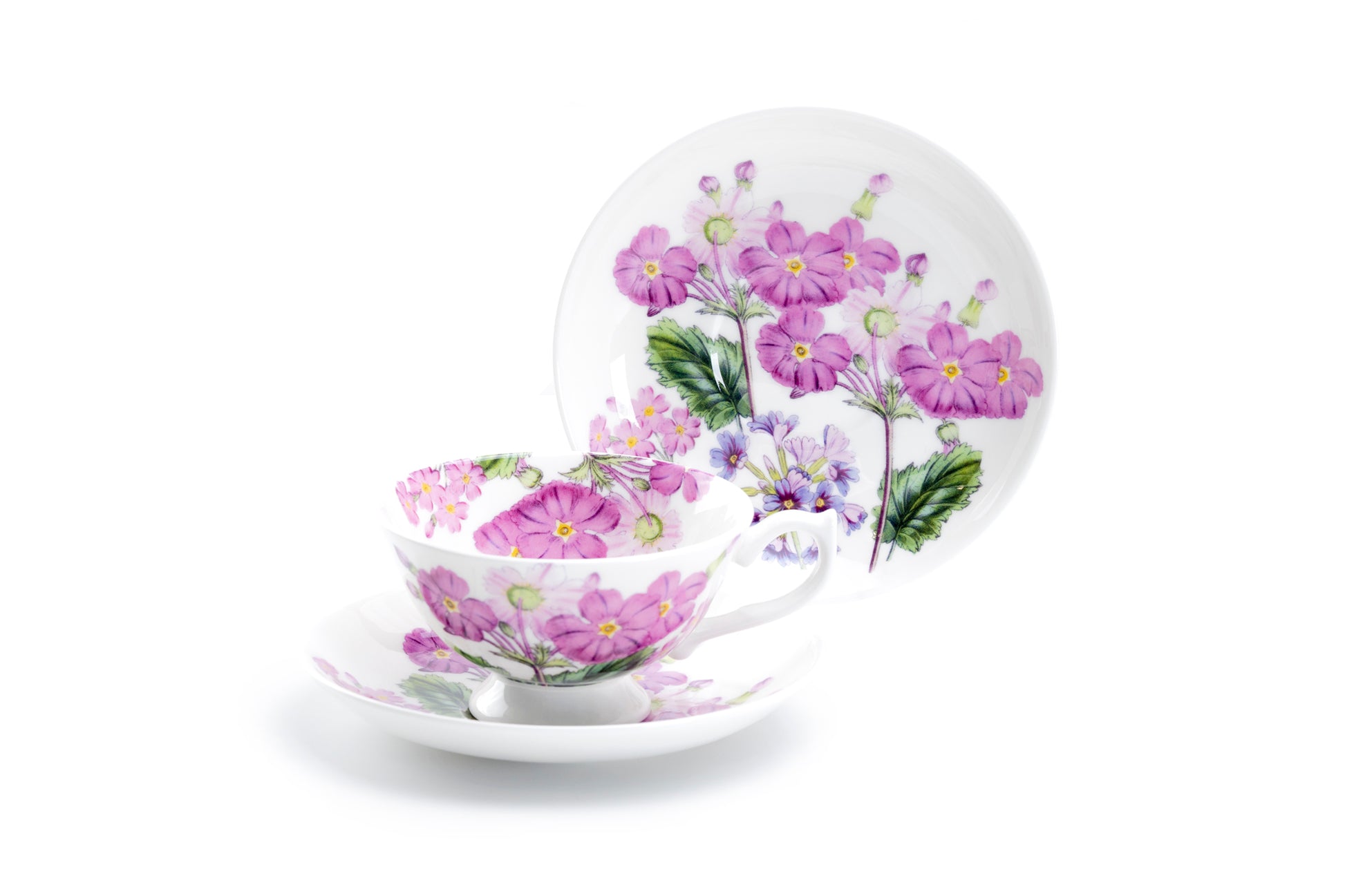 Stechcol Gracie Bone China Pink Zinnia Bone China Tea Cup and Saucer Set