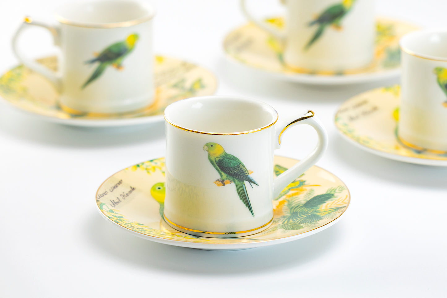 Tropical Parrot 2.5oz Espresso Cups and Saucers with Gift Box