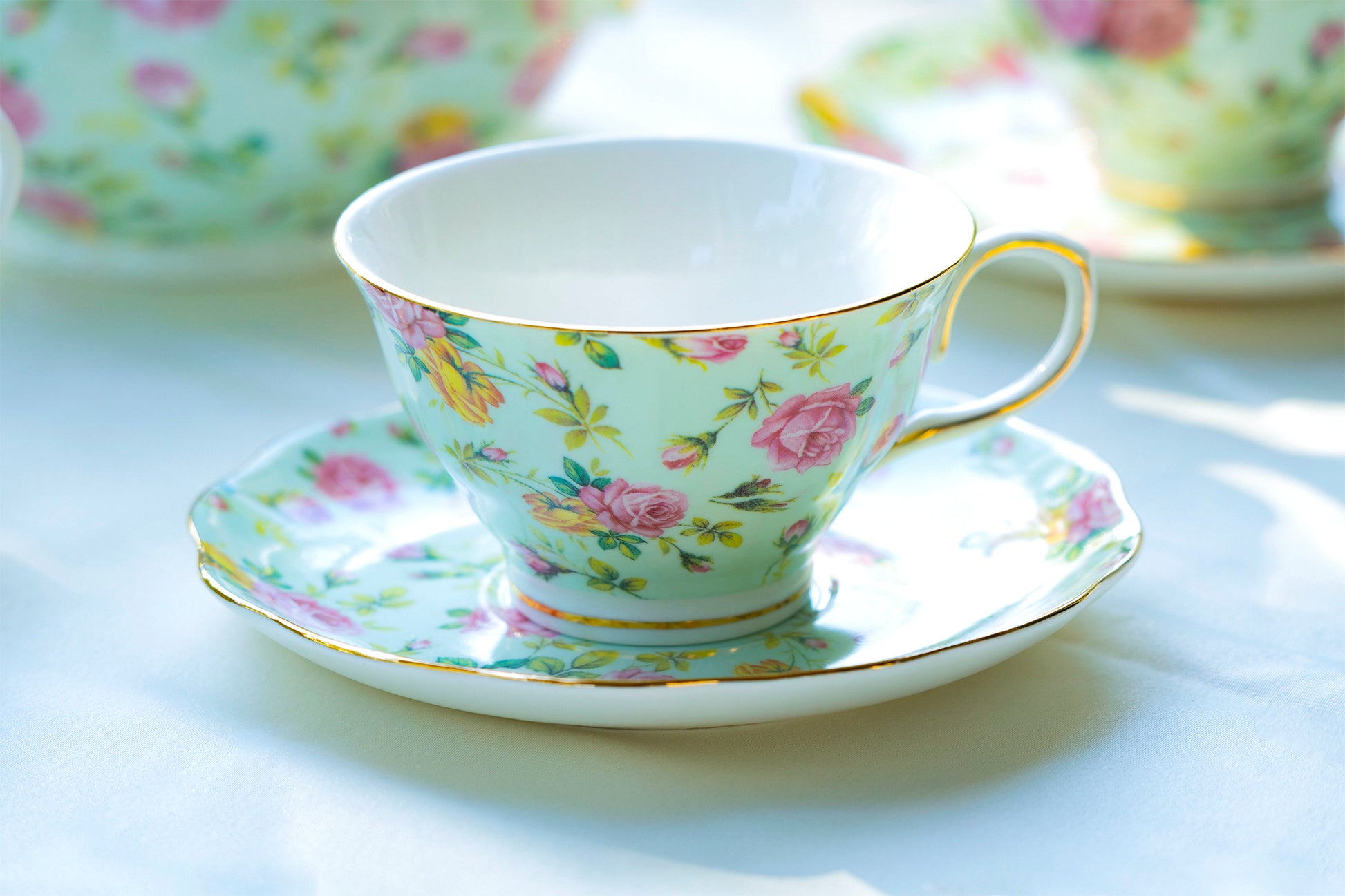 Gracie China Blue Cottage Rose Chintz Porcelain Teacup and Saucer Set