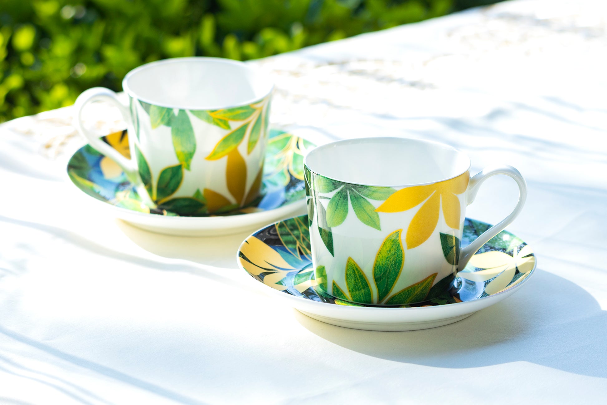 leaves cup and saucer