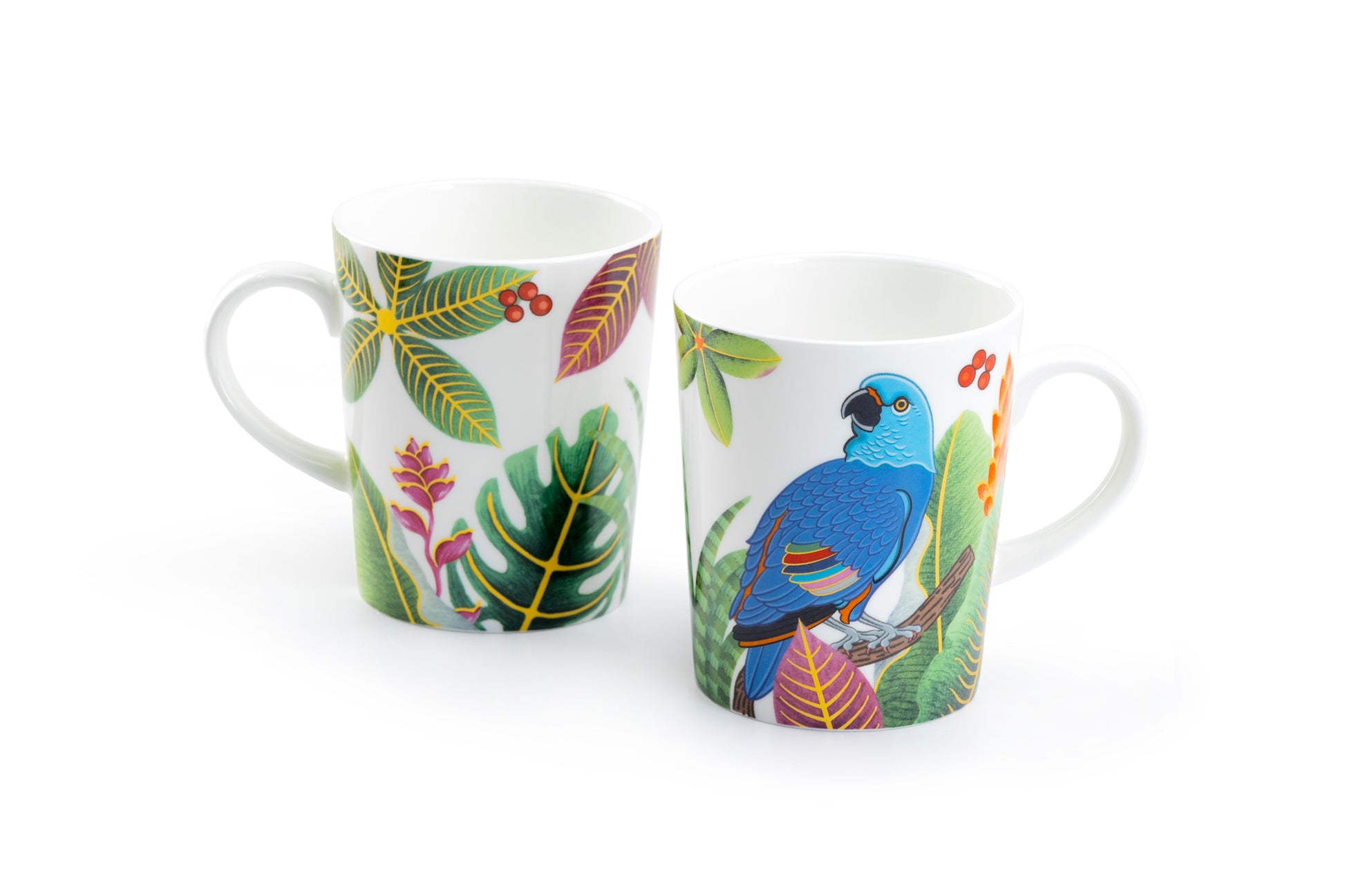 6 08ece mugs set with birds Tropical Birds Assorted Bone China Mug Set of 4