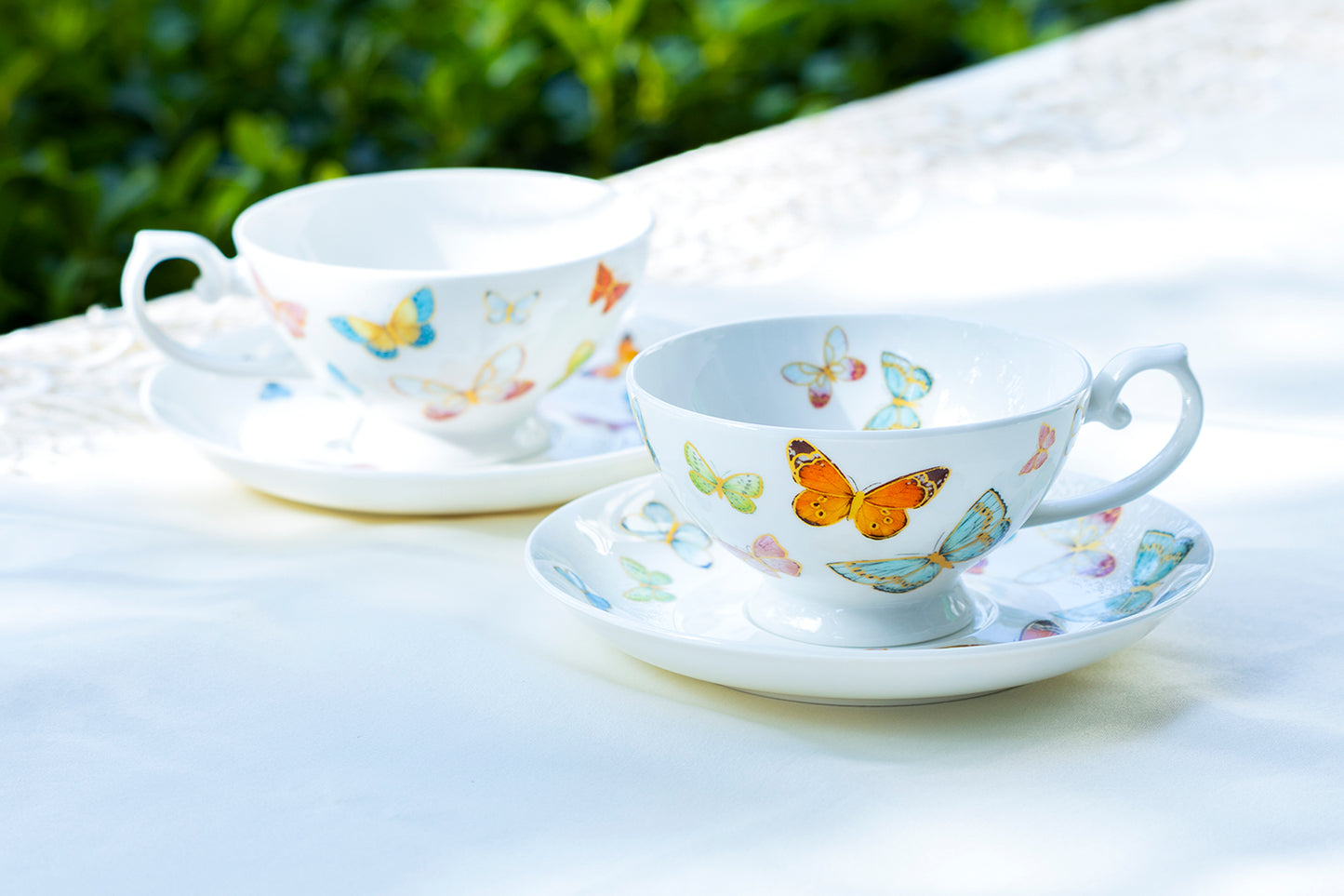 Stechcol Spring Butterfly Bone China Tea Cup
