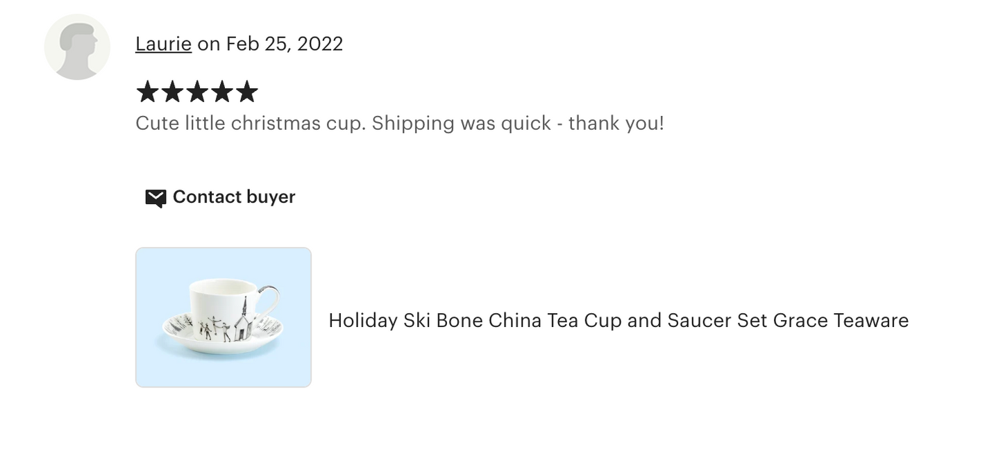 Winter Wonderland Ski Village Bone China Tea Cup and Saucer
