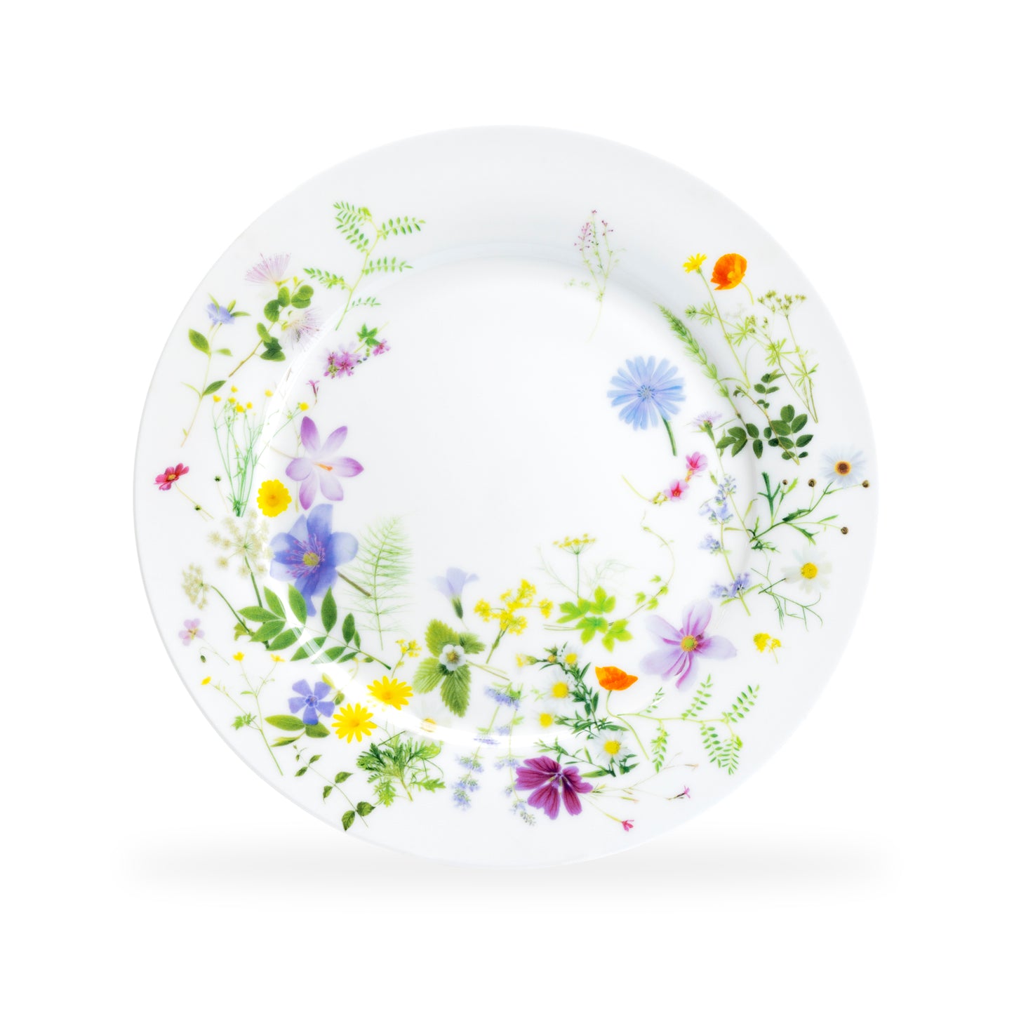10.5 Summer Meadow Bone China Dinner Plate, Set of 1 - One 10.5 Plate