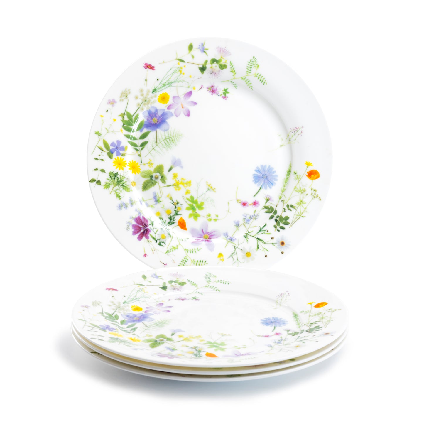 Stechcol Gracie Bone China 10.5" Summer Meadow Bone China Dinner Plate Set of 4