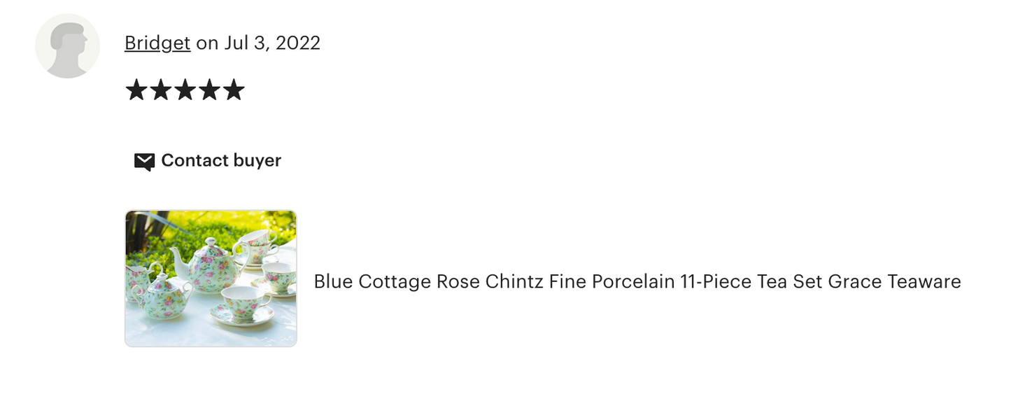 Blue Cottage Rose Chintz Fine Porcelain 11-Piece Tea Set